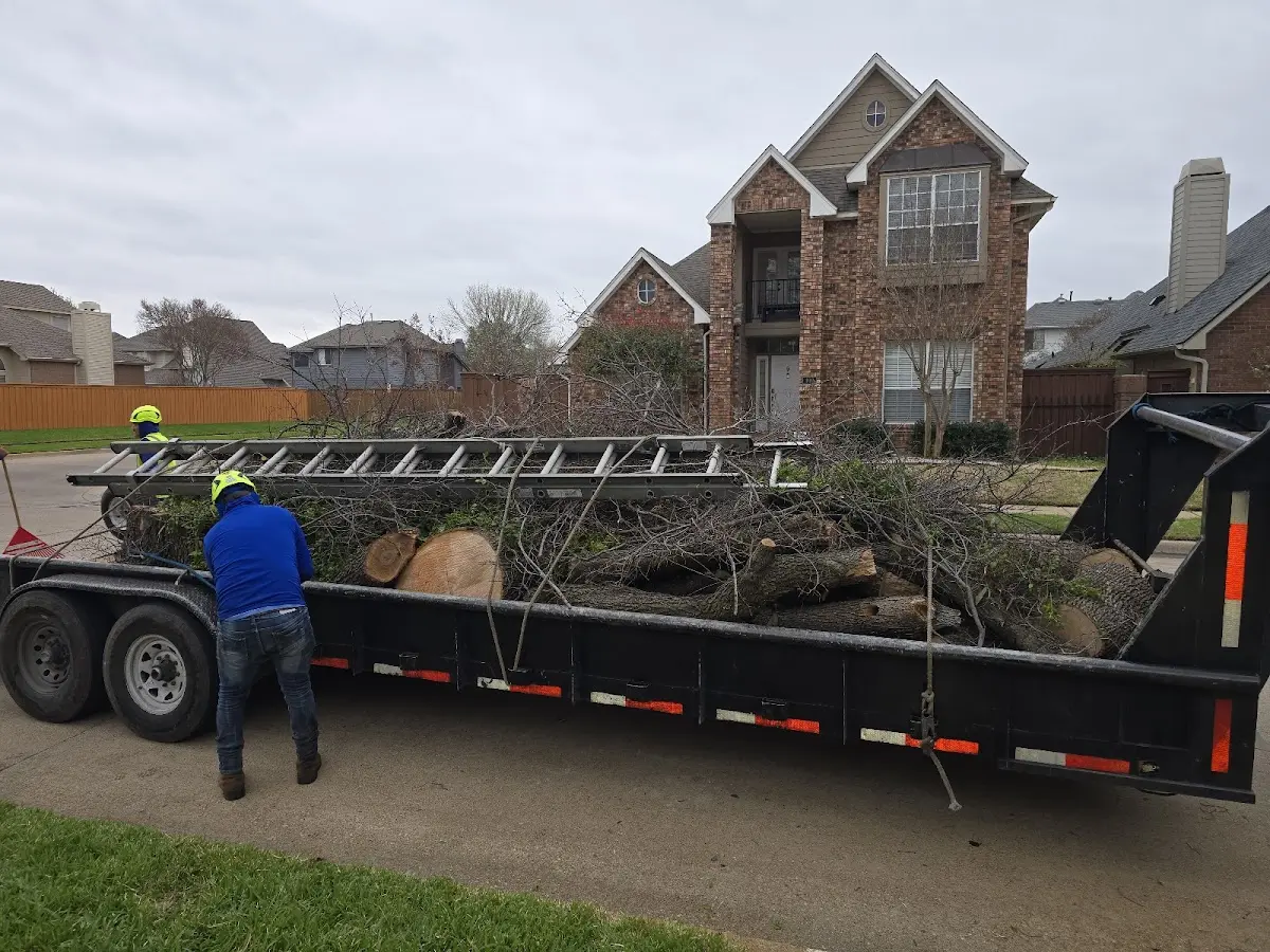 Expert Tree Fertilization with proper safety equipment in Hoven